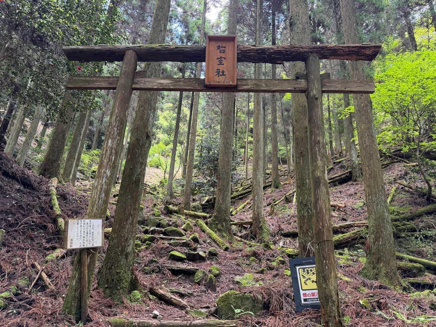 智室社の鳥居をくぐって5分ほど登ると、