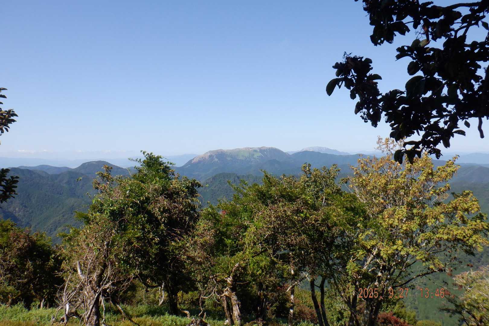 茶野 往復コースの写真