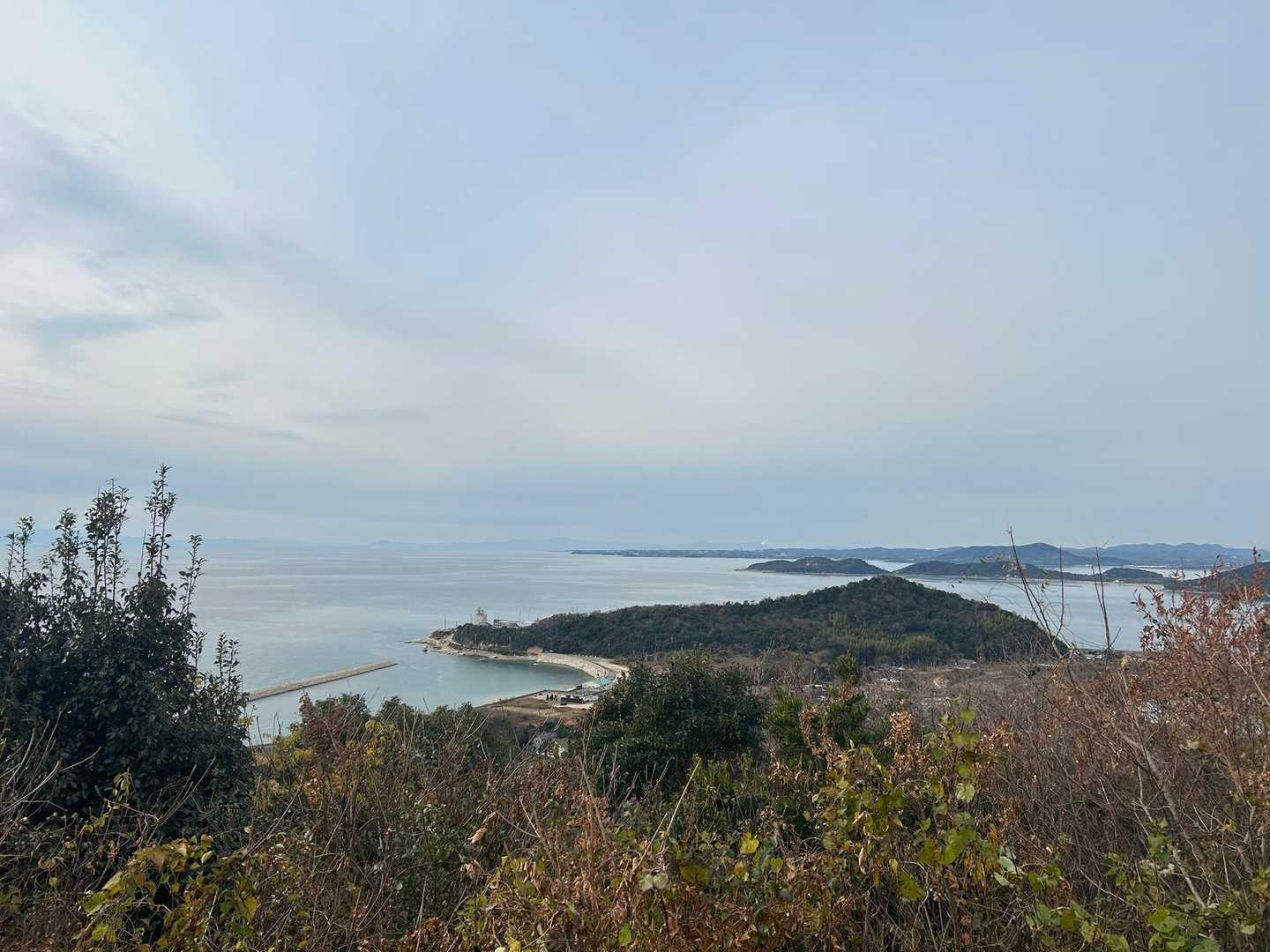 善城寺山-行者嶽-草山 往復コースの写真