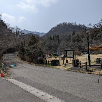 丸子山公園からです