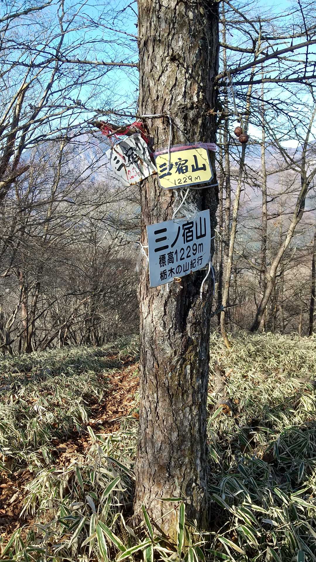 三ノ宿山の写真