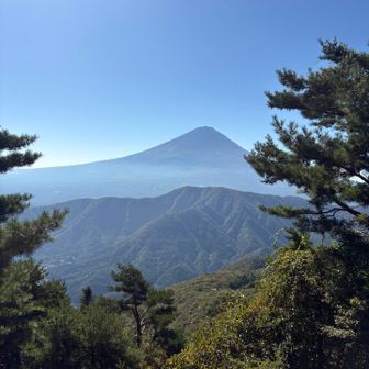 癒しポイント⛰️