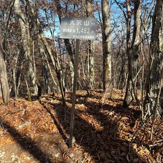 大沢山山頂