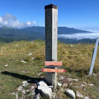 男女倉山（おめくらやま）山頂。立派な山頂標識には「ゼブラ山」と書かれている。どっちが本当の山名なんだ？🤔😅