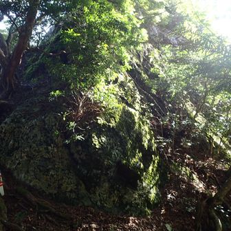 烏帽子岩🪨