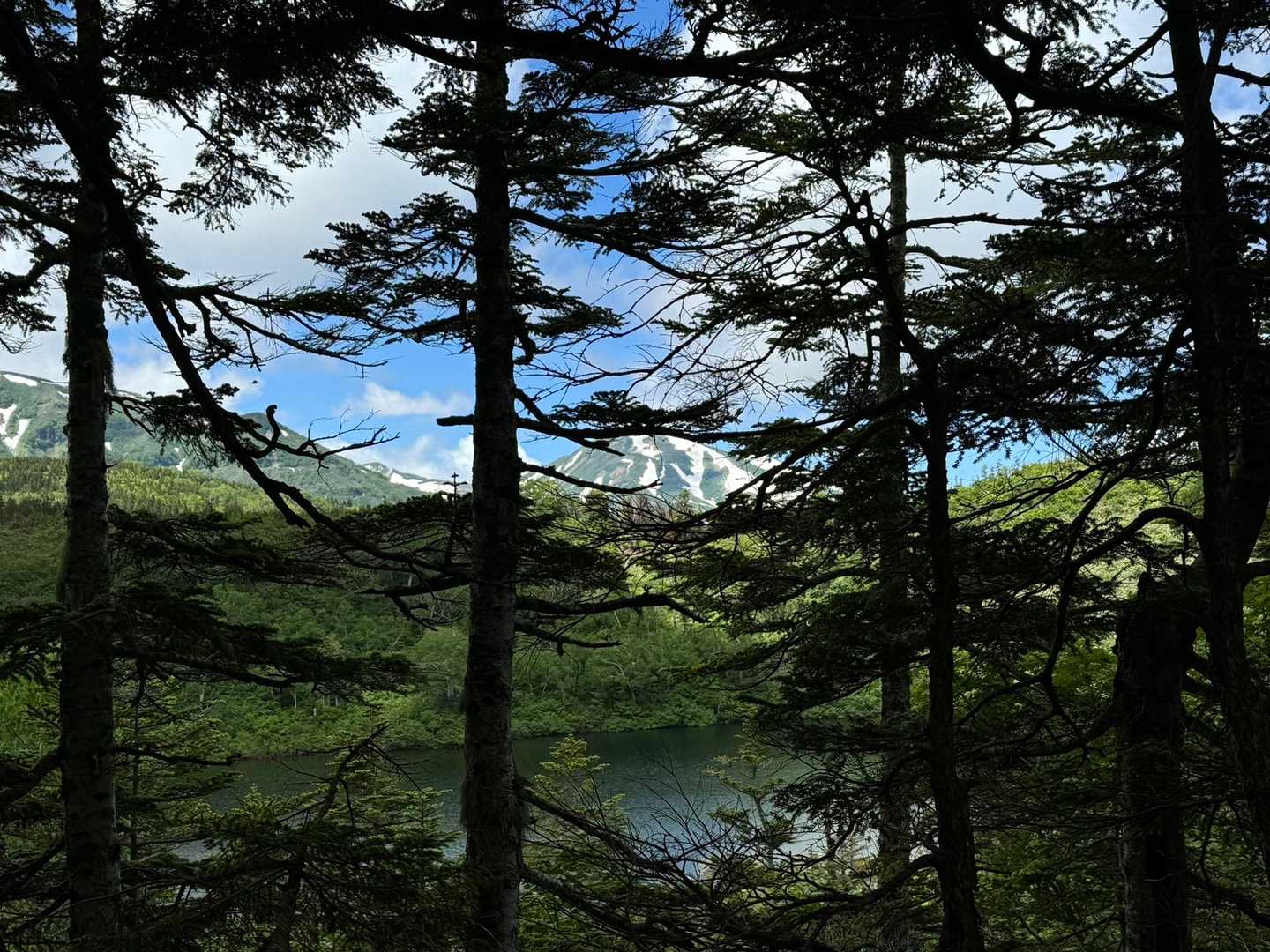 風吹岳（風吹登山口）の写真