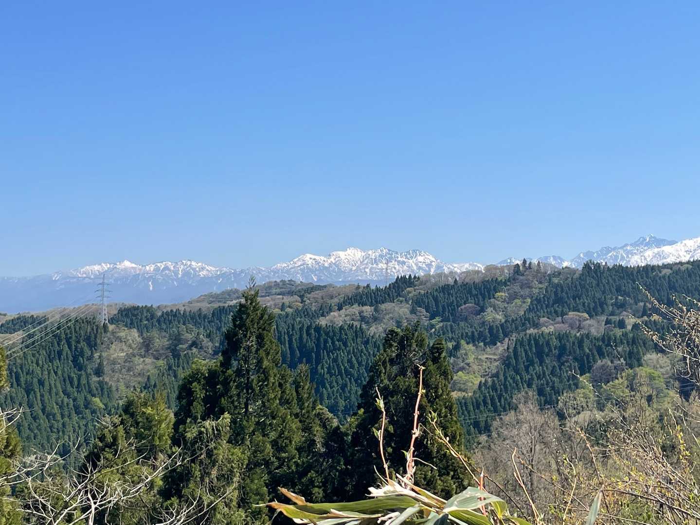 毛勝三山💕