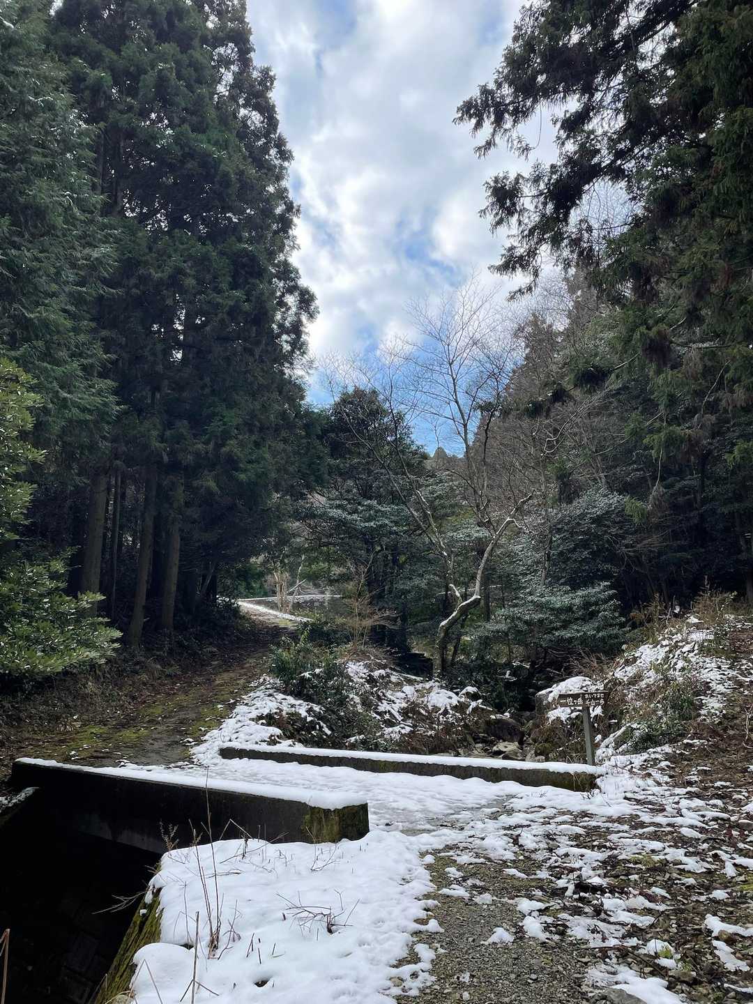 ひとりの方とすれ違った👨
帰りに鹿を見かけた他は、ずっと独りでした😁