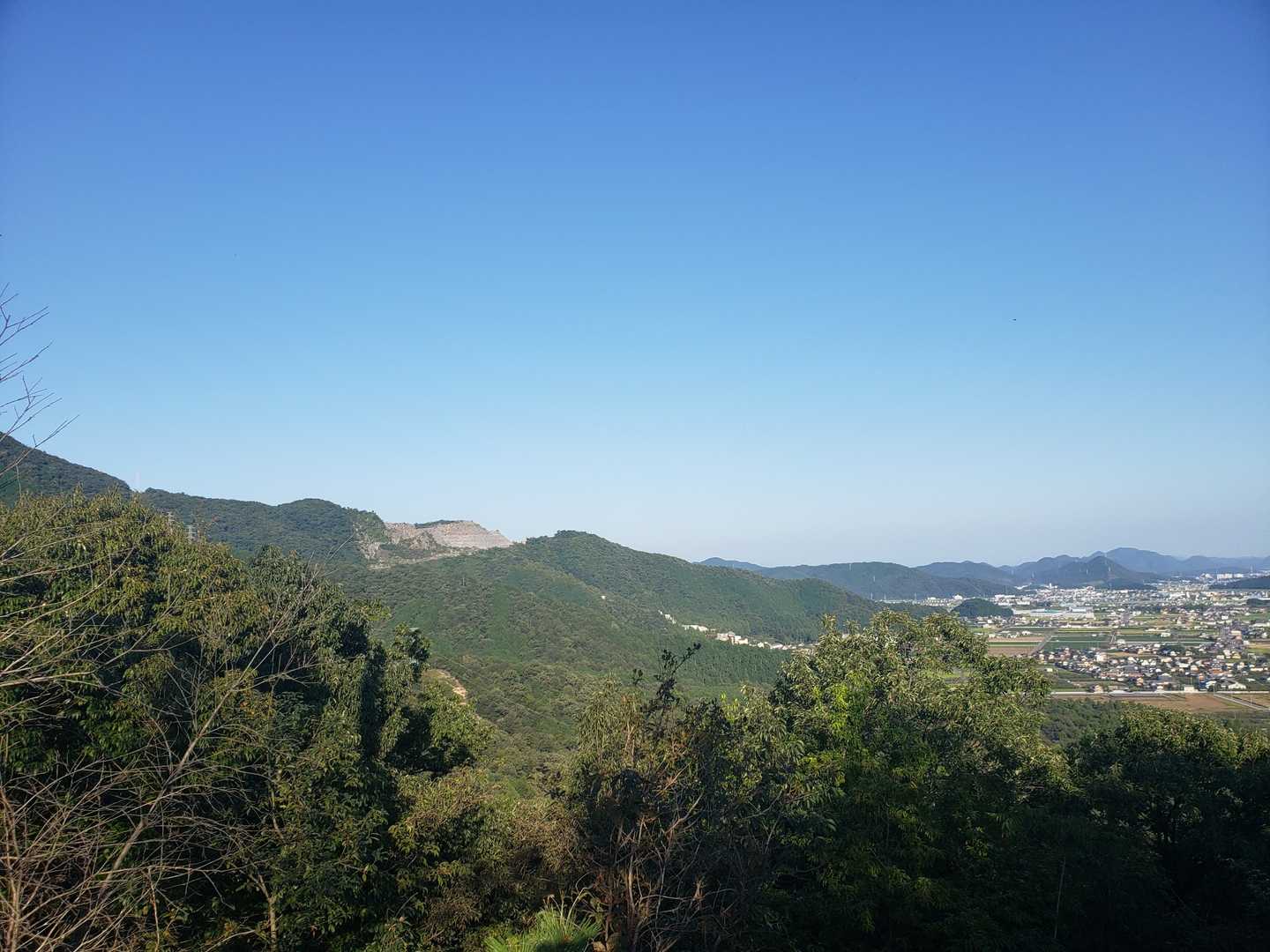 野村山-野村坂-大谷山 周回コースの写真