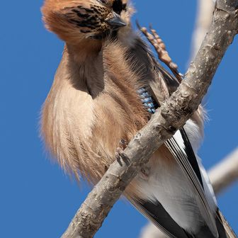 謎のポーズを激写🤭