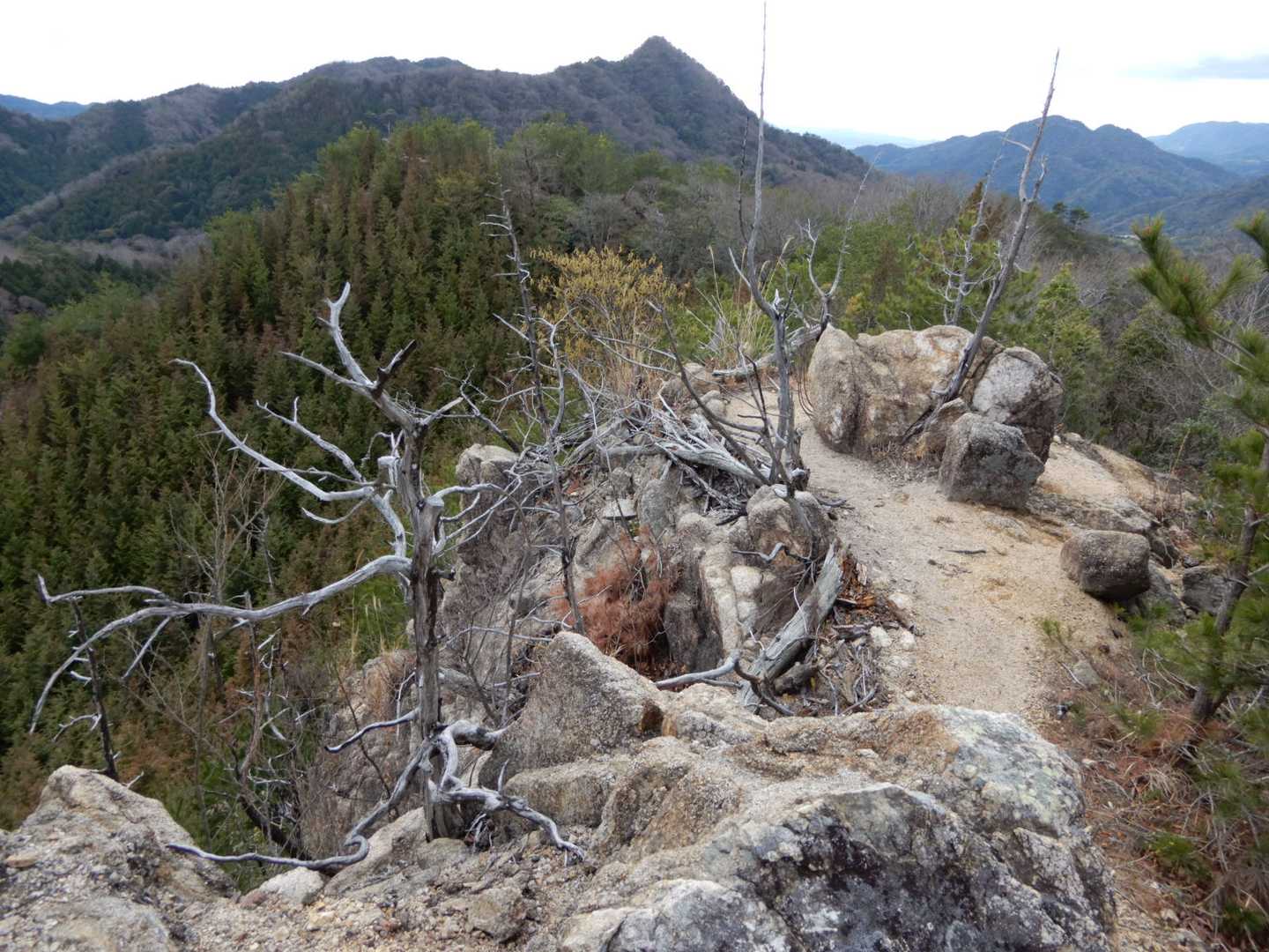 十数年前に山火事があった光景が痛々しく残る 😢
https://ameblo.jp/ryu-sanpomichi/entry-12551504124.html