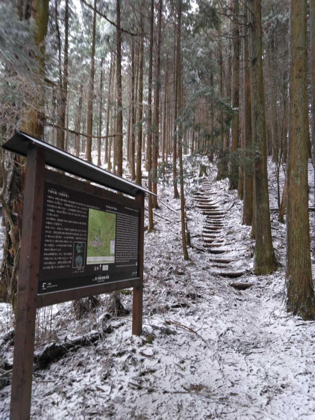 私達の歩いた道を振り返ってみた
私の思う高野山のイメージ、こんな感じ😌