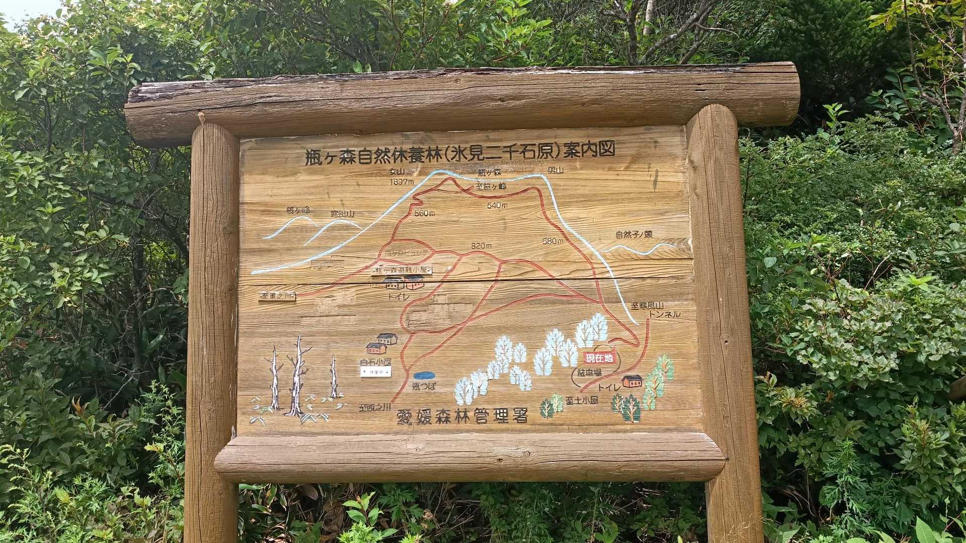 瓶ヶ森自然休養林🌲🐦️