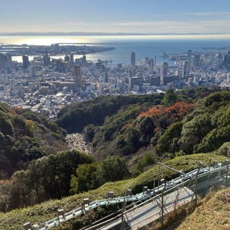 市章山。
今日は水500mlしか持ってこなかったけど、暑くて喉が渇く。