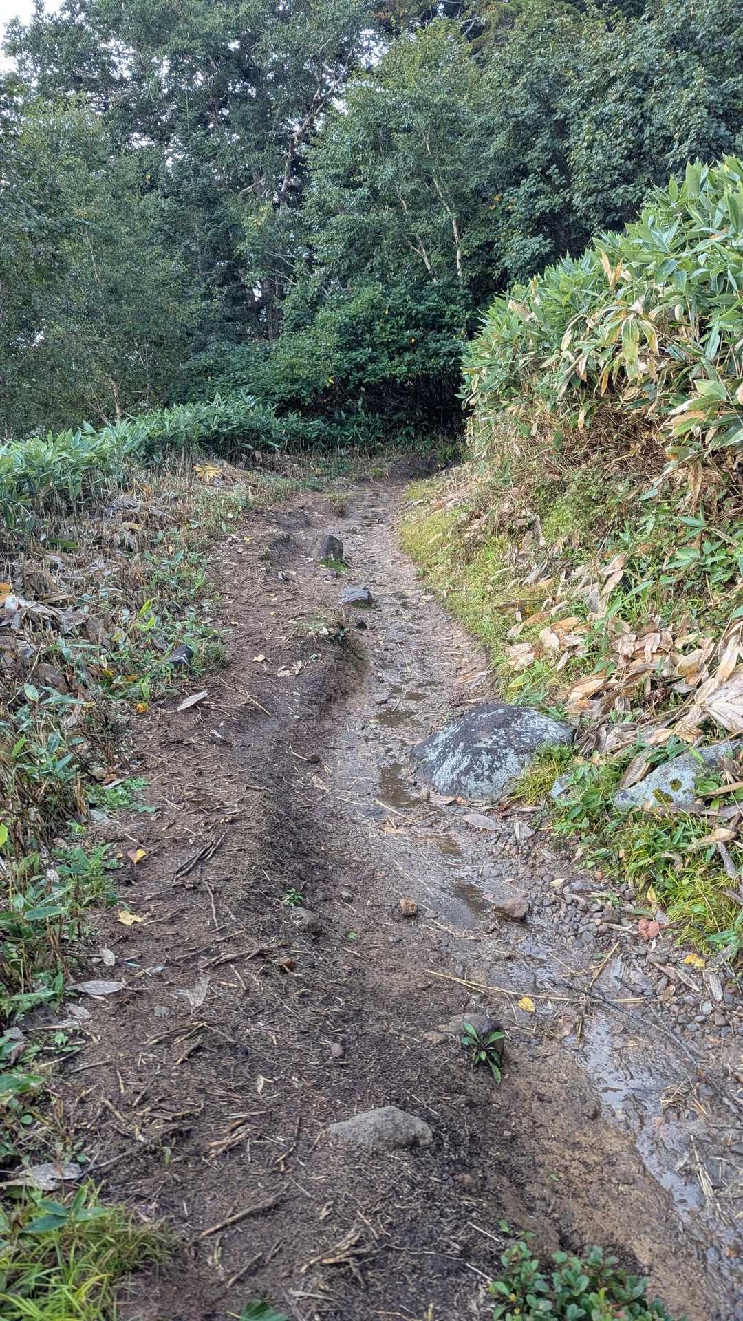 御池登山口-広沢田代-熊沢田代-燧ヶ岳-長英新道分岐 縦走コースの写真
