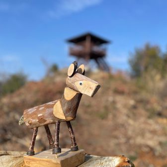 ほんと可愛い〜😍