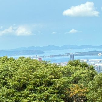 あっさりと三日月山山頂に立つ。
山頂は木がないのでかんかん照り。
ベンチも熱々で座ったらお尻を火傷しそう。
照葉のタワマンと海の中道がはっきり見える。
早々に退散する。