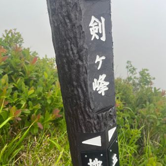 ここまでと、ここからの岩歩行が面白い