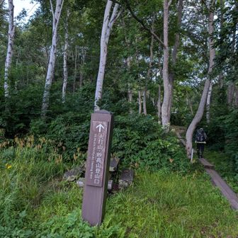 上信越自動車道野尻湖PAで車中泊して、4:30に笹ヶ峰駐車場につきました。こんなロングドライブ（400km越え）は久しぶりです😓
お盆休みですでに満車に近い状態でした。さすが百名山。