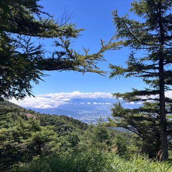おおおおお
雲海っぽい