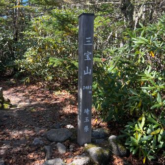三宝山山頂。
眺望無し。
休日のせいか多くの人で賑わってました。