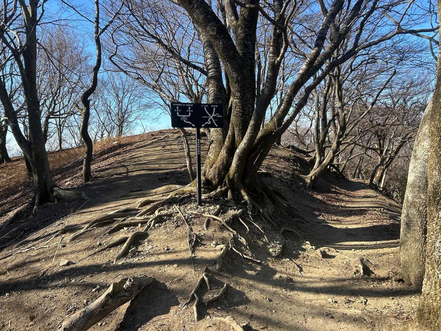 帰りは左へ