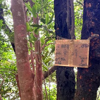 道標も兼任する山頂標識
