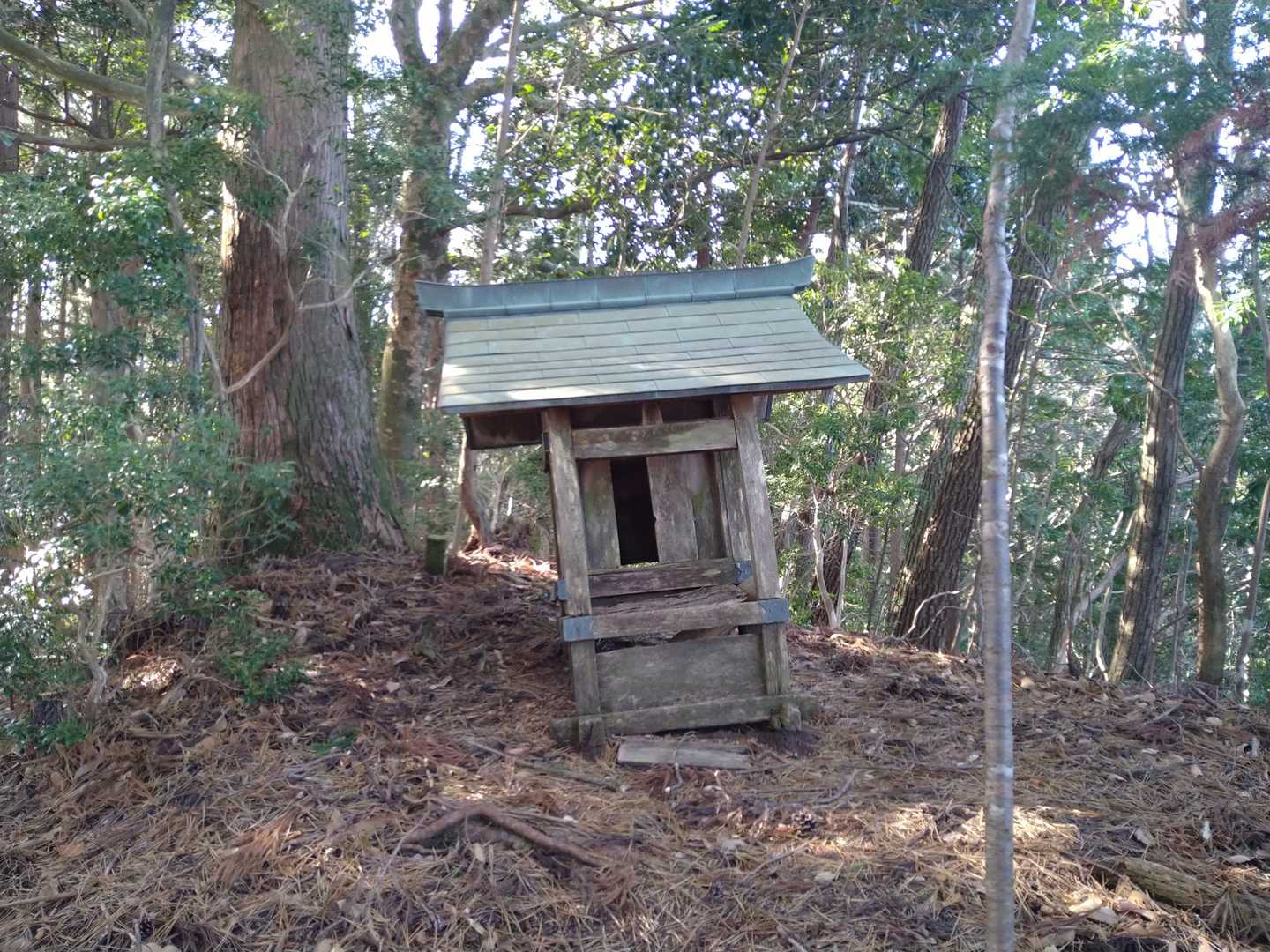傾いてますね