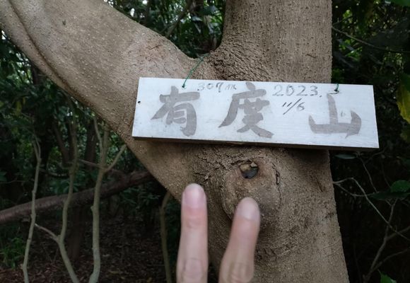 有度山（静岡・307m）| 登山ルート・天気 | YAMAP / ヤマップ