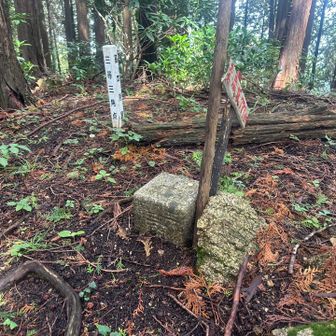 三角点🔺もありますよー

点名:赤坂
標高:777.65m
種別:三等三角点
