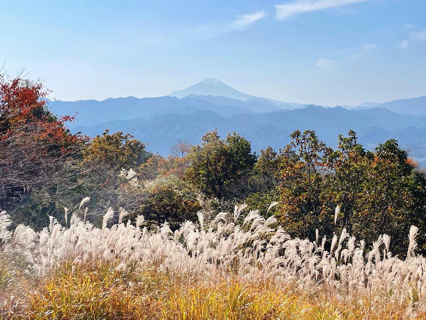 ススキと富士山もキレイ

見惚れてる場合じゃないんでした
バスの時間があるので、早々に下山します