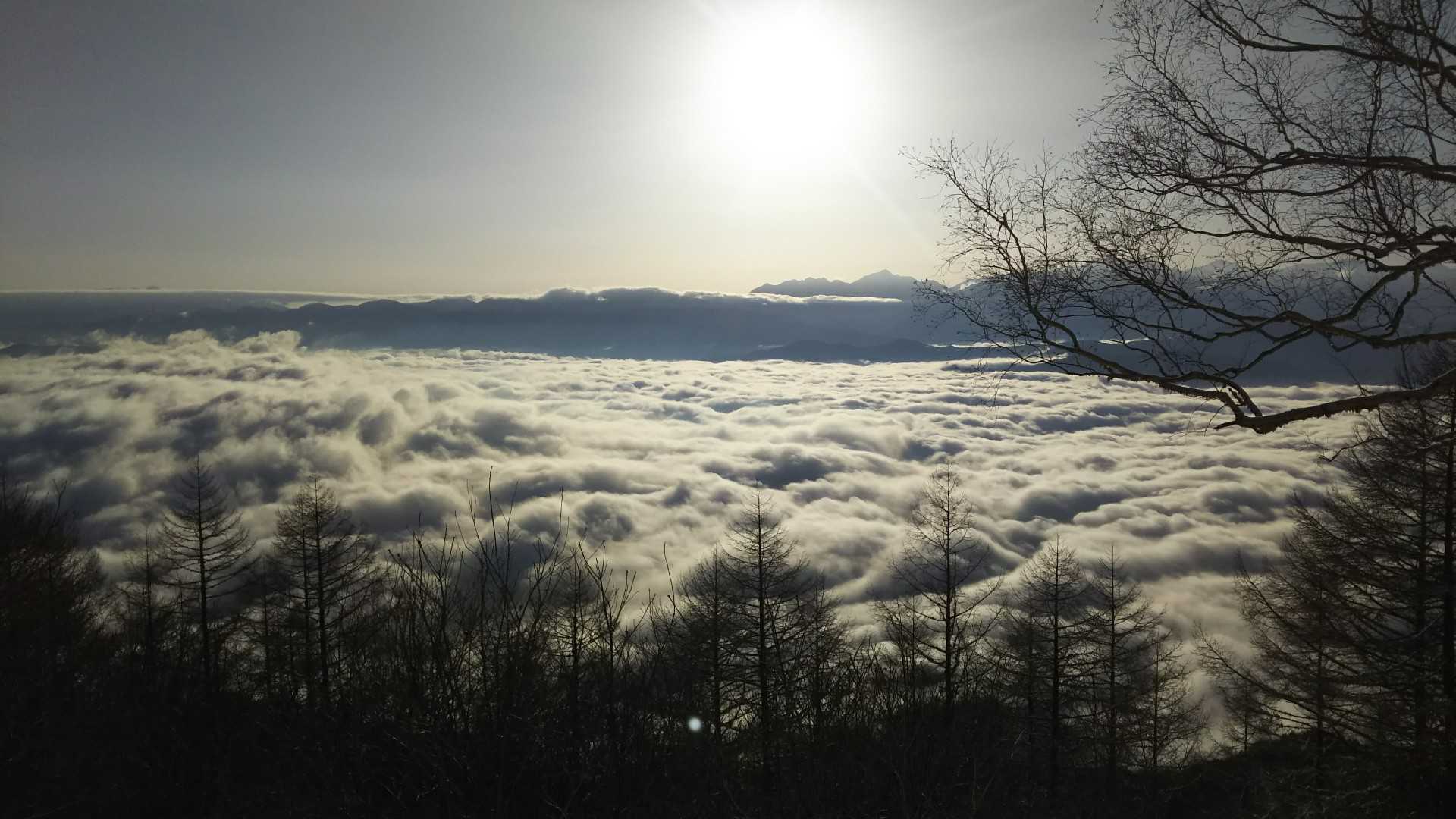 麓はすごい雲海になってる😲  イナヨクミエル？