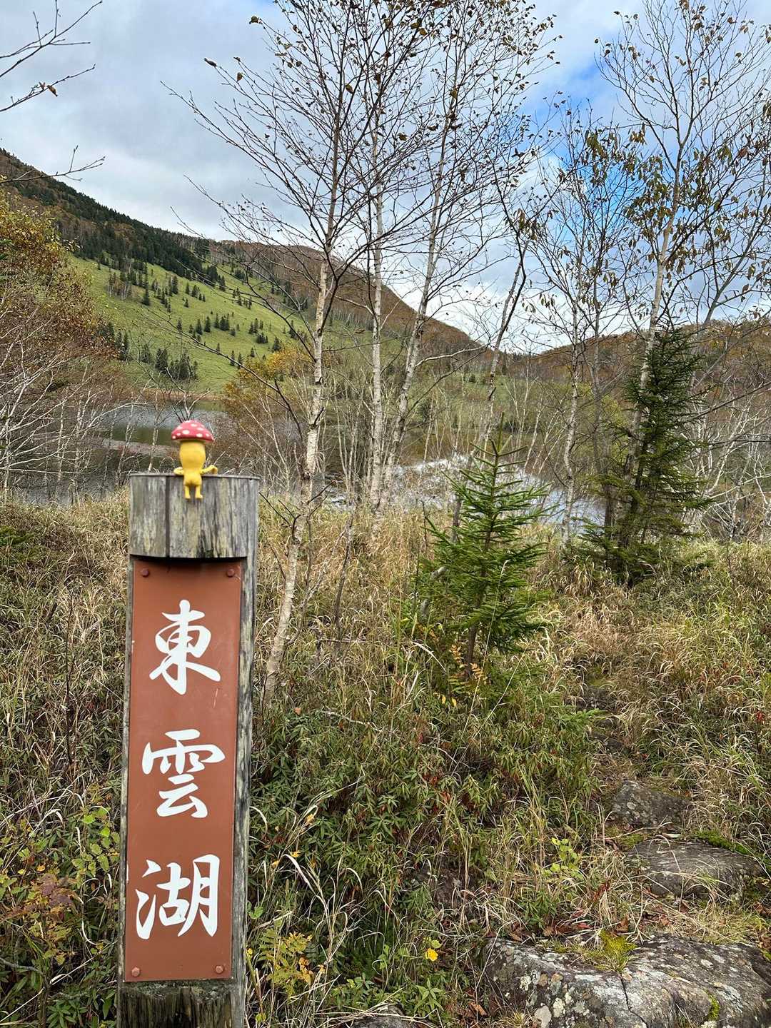なんか見えるのー
おもちゃみたいな湖やなぁ