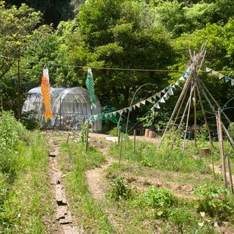 もりのわサン*yukinko