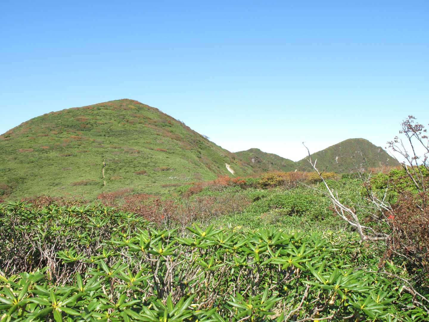 そして大倉山へ