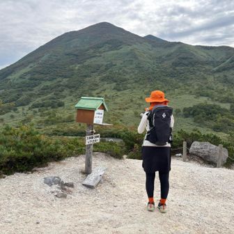 入山者多し