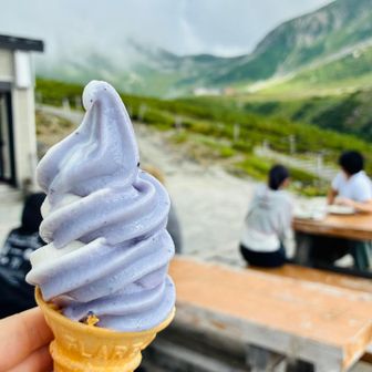 みくりが池山荘のブルーベリーソフト
去年も食べたな