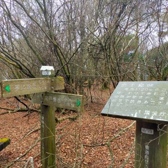 急登の終わりは富士見峠。期待はあまりなかったが、見晴らしの効く鉄塔の方まで行ってみました