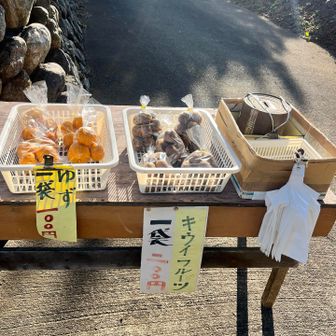 ここではキウイを買ったり🥝