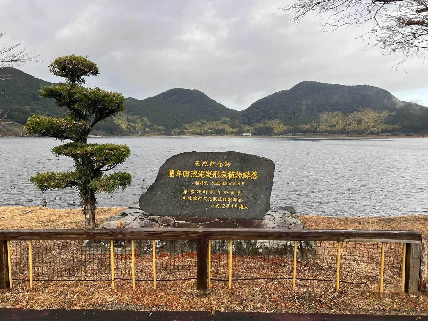 晴れてたらとても気持ちの良さそうな湖畔です🩵
まだ歩き始める前なので、震えるほど寒い🥶