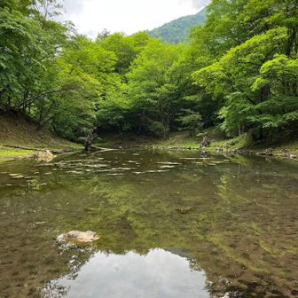 大笹池までくだってきました