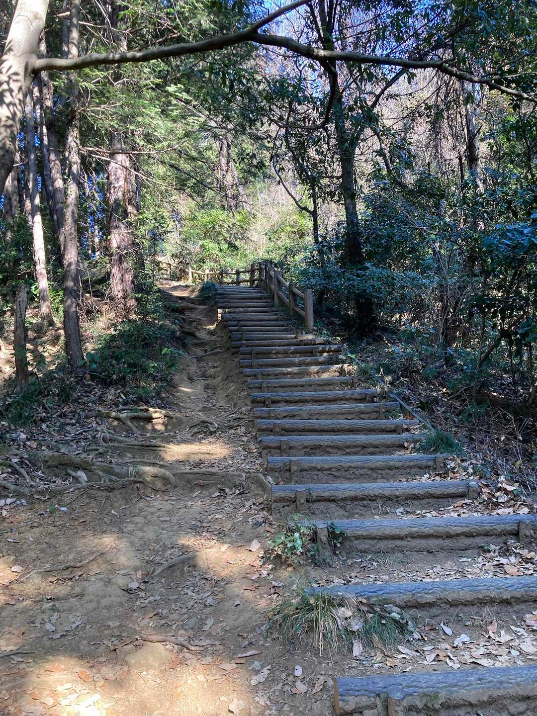 多少の登りありますが右回りより楽ちんです♪