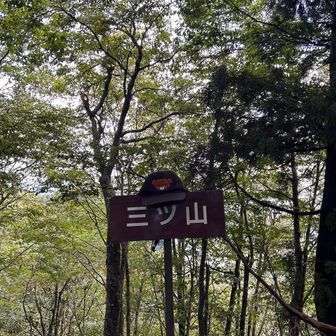 山のカウントダウンか。