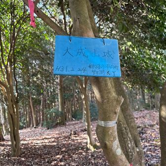 到着〜
あれ？後山じゃない🫣大成山城ですって
