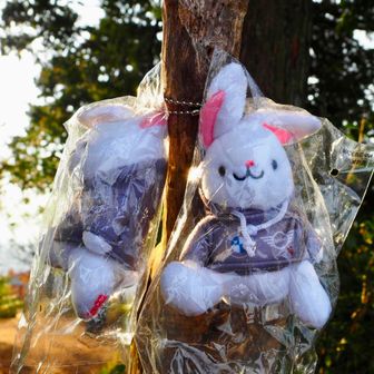                          うさぎさん🐰🐰
                             はじめまして

                          可愛いですね☺️

