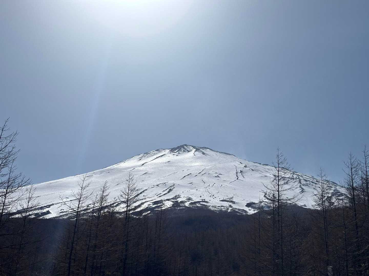 須走口五合目から原生林を抜けて、富士山頂・山中湖の絶景を手軽に楽しむの写真