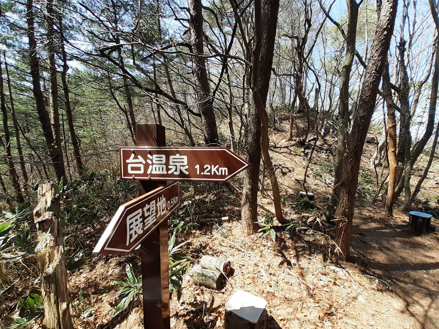 万寿山-権現山 周回コースの写真