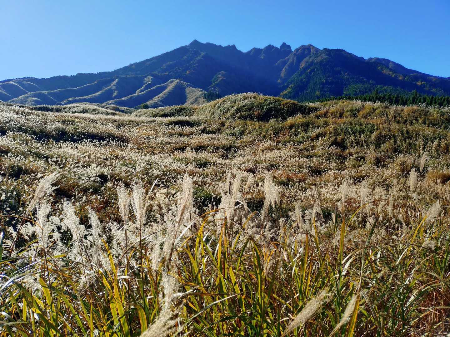 登山口の取り付きを誤りコースアウト🤣
お陰で、素敵な場所を発見🌾⛰️🌾