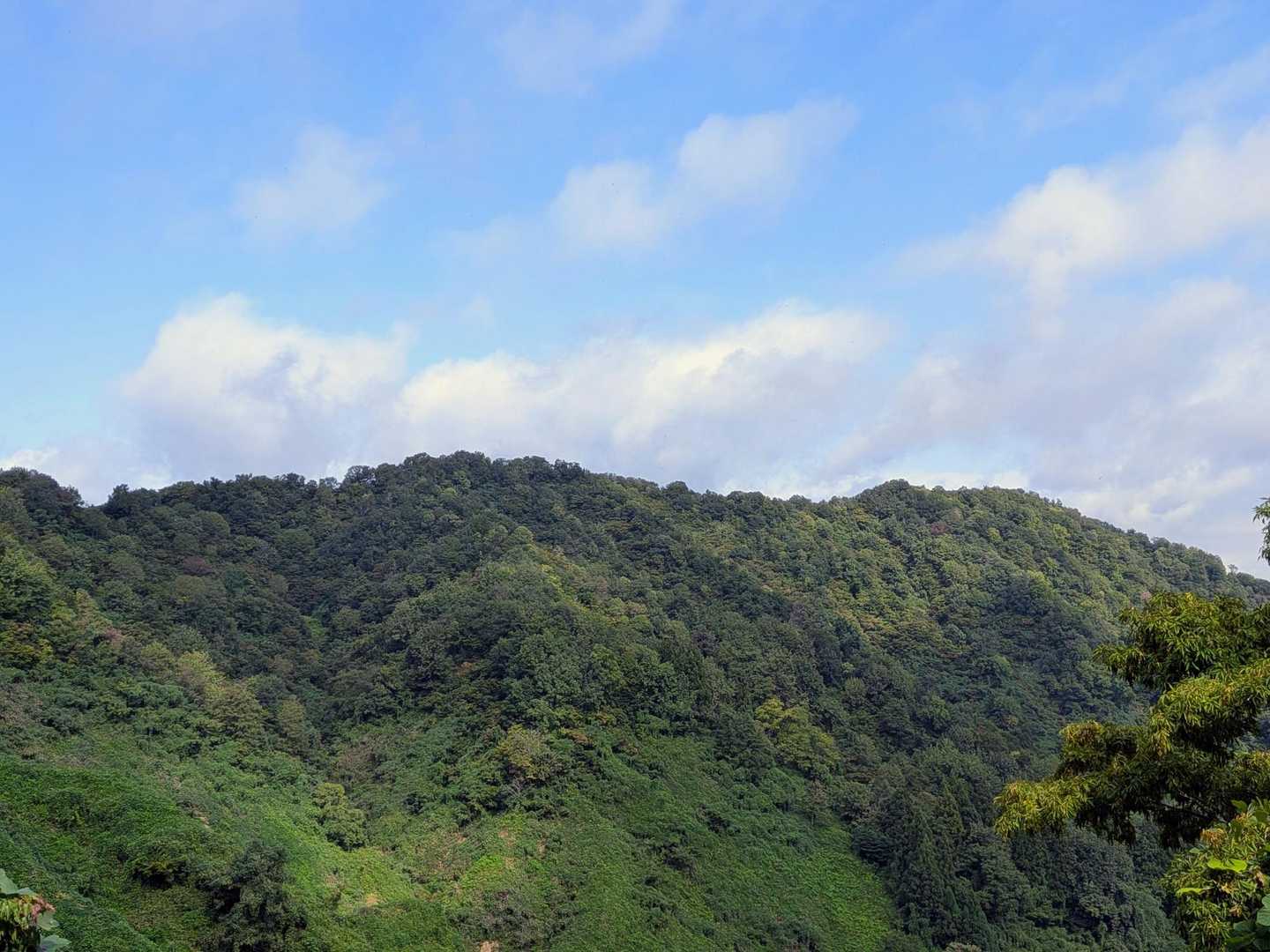 丸山方面を望む👀
🔵青空が出て来ました✌
