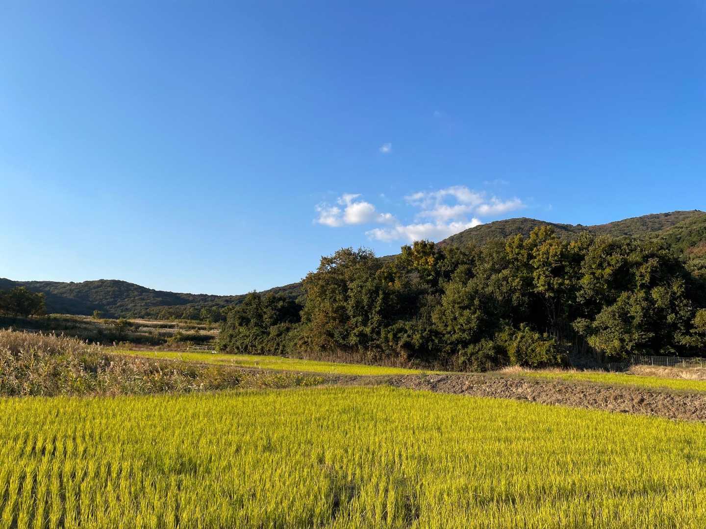 極楽寺コース-宝篋山-常願寺コース 周回コースの写真